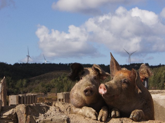 Für Landschaftserkunder nahezu ein Paradis